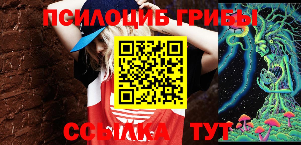 Галлюциногенные грибы ЛСД  Галлюциногенные грибы Psilocybe  Вход с VPN  Аргун 