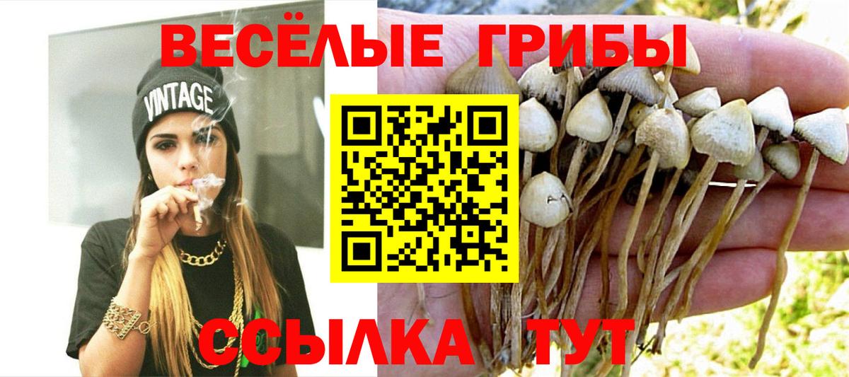 Галлюциногенные грибы прущие грибы Аргун